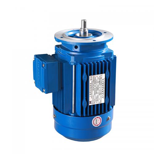 SPECIAL MOTOR FOR SPEED-REDUCING MACHINE
